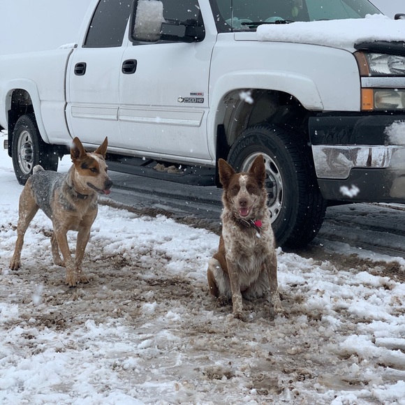 Meet your Posher, Reed - Picture 1 of 1